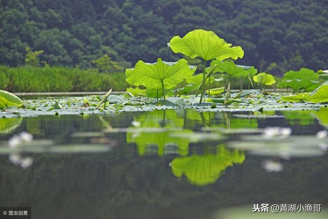 对所有养殖户都非常重要的水体硬度，你知道吗？