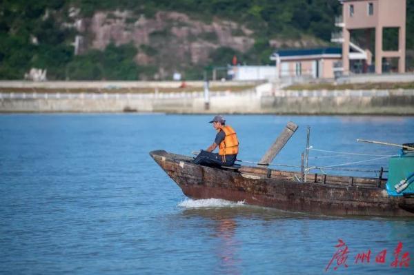 这些“神奇生物”曾一度消失，如今再现珠江流域……