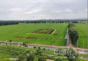 天津孔雀养殖(借力全域旅游 义勒力特风景变“钱景”)