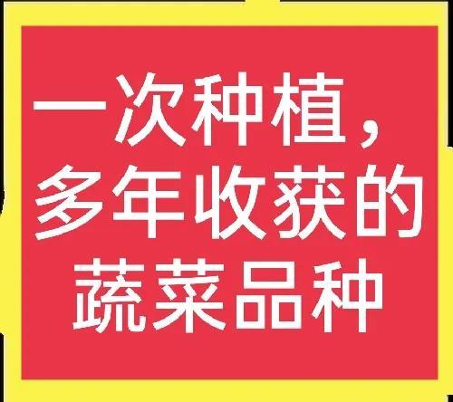 什么蔬菜可以种植一次，多年采收？这里有答案！(建议收藏)