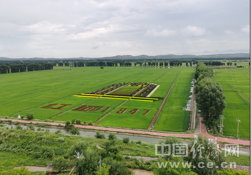 借力全域旅游 义勒力特风景变“钱景”