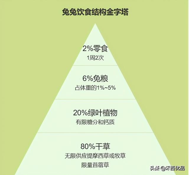 如何用健康合理的方式饲养兔兔