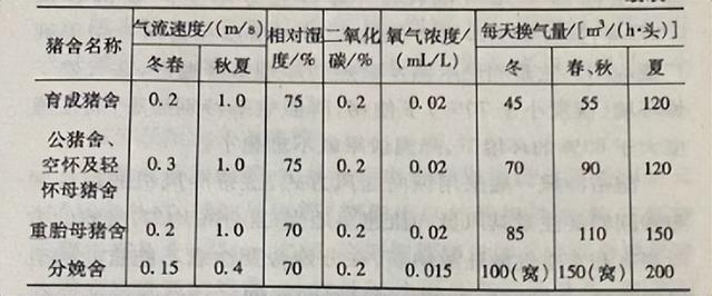 现代化养殖技术：在养猪中限位饲养机械化的应用