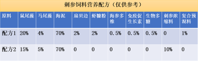 【刺参养殖】“海中人参”价格贵，人工养殖有技巧！