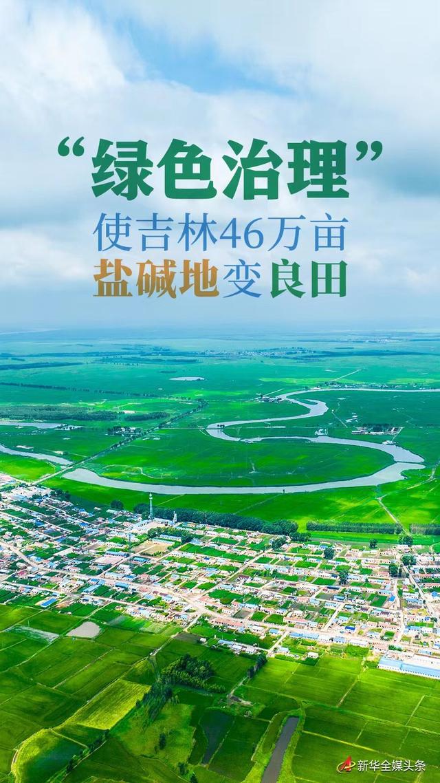 “绿色治理”使吉林46万亩盐碱地变良田