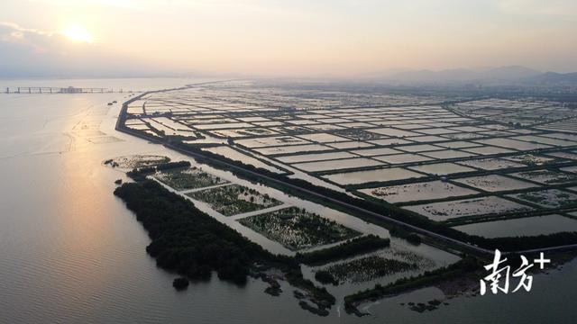 广东食蟹地图