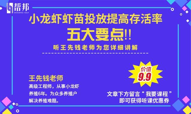 经验丰富老虾农教你龙虾放苗如何提高成活率！赢得开春第一桶金