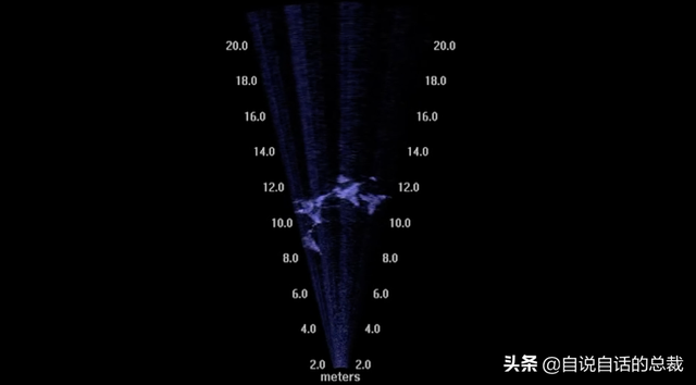 全身黑科技，4亿年不进化，它简直是一只外星机甲