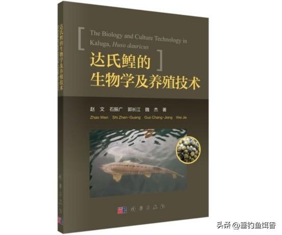 重庆江津老汉意外钓获珍稀达氏鳇，放流获表彰奖励，保护任重道远