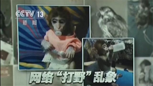 网红直播养猴牵出大案 35人被抓16只猕猴被解救