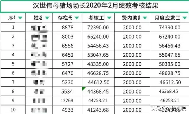 今年你涨薪了吗？现在猪场场长月薪都7万了