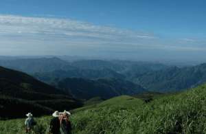 邵东养殖孔雀基地(赏青山瀑布，住木屋民宿，重走湘军路，给自己放个假)