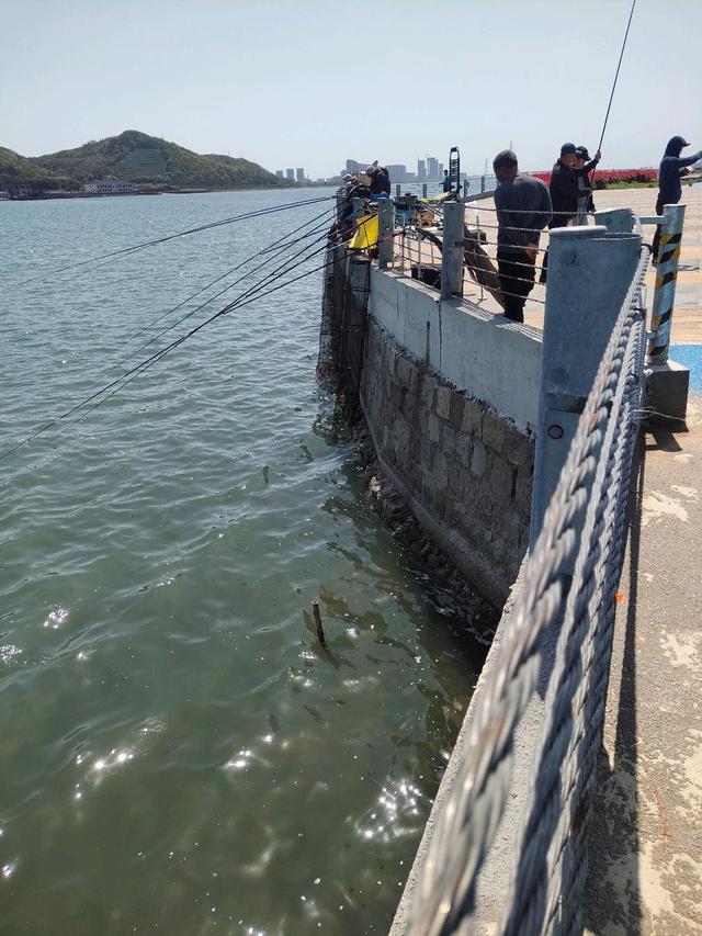 宁波这个钓点太酷了！不光能钓海鱼、淡水鱼还有沙滩、红桥与风车