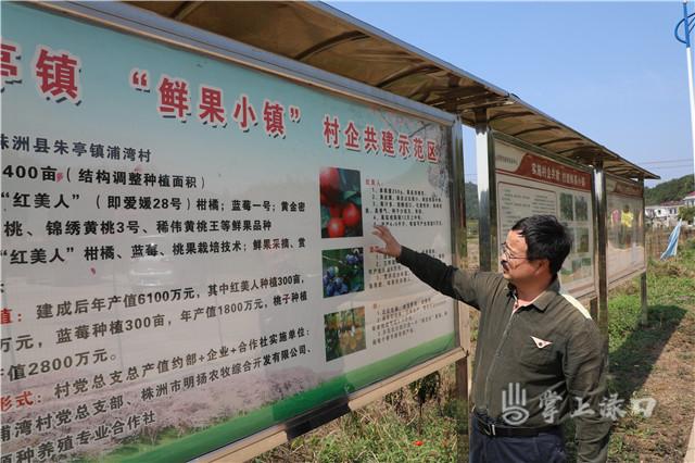 已100%完成！渌口区种植结构调整局面形势喜人