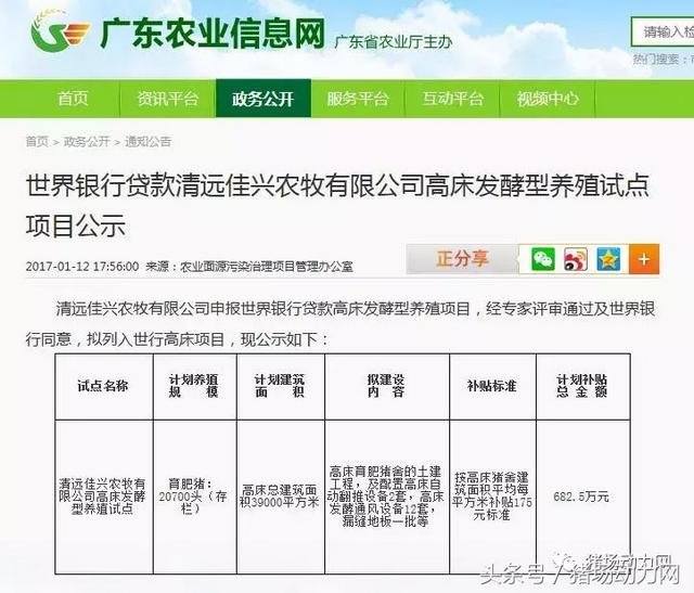 这家猪场不断改进高架网床模式，一人养4500头猪还能提前10天出栏