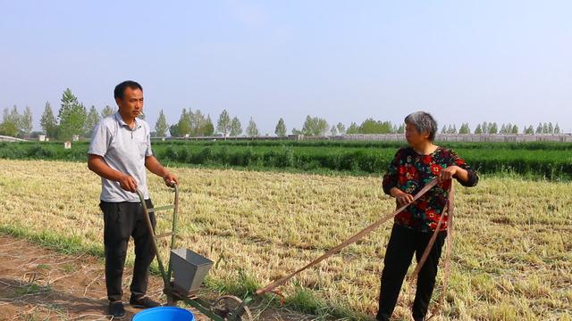 农村小伙建大棚养蚂蚱，只需一次投入就能收4拨，就是养起来娇贵