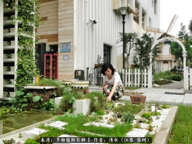 一种生命，百种成长——种植多肉而引发的教育感悟