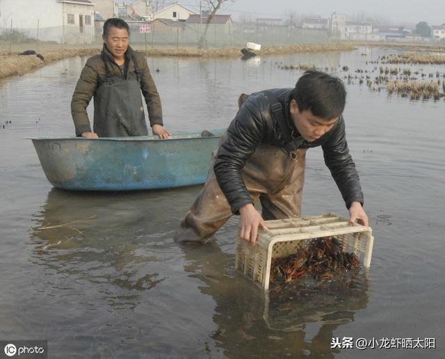 在小龙虾养殖过程中，生物改底净水到底用芽孢杆菌好还是em菌好？