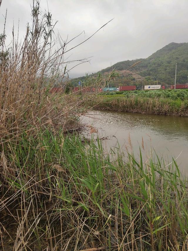 宁波这个钓点太酷了！不光能钓海鱼、淡水鱼还有沙滩、红桥与风车