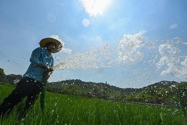 「观点」养殖业过大“烤”，有备方能无患