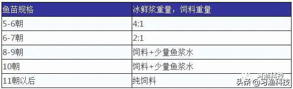 鲈鱼养殖技术之鲈鱼苗培育