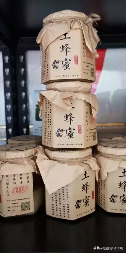 水富市两碗镇：发展胡蜂养殖