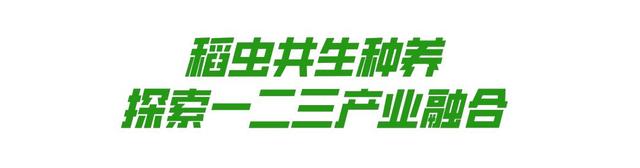 犀利！斗门“大胃王”！一小时搞掂800盘…