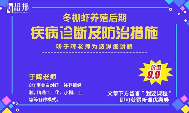 南美白对虾养殖：对虾养殖不肥水，本事再大都得亏本