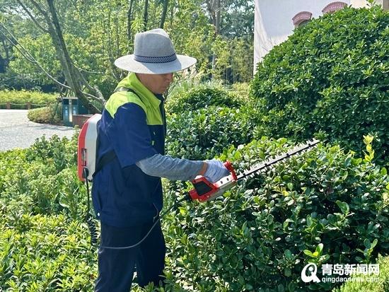 “树管家”精细化养护 让太平山中央公园古树焕发“新生”