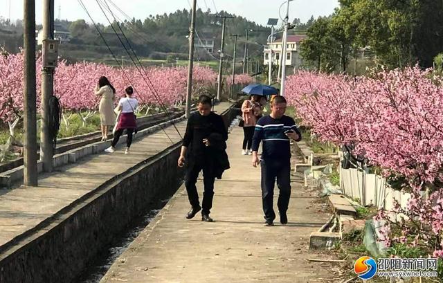 双清区渡头桥镇：加快集体经济发展 助力乡村振兴战略