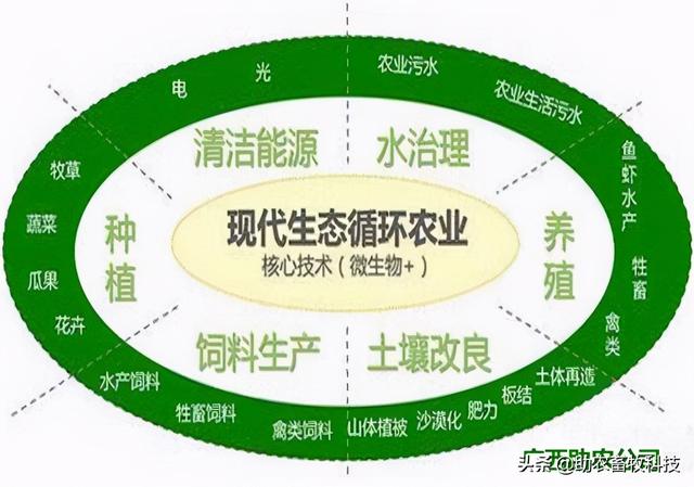 养殖业常用的环保菌种、动物用专业复合益生菌、饲料发酵剂介绍