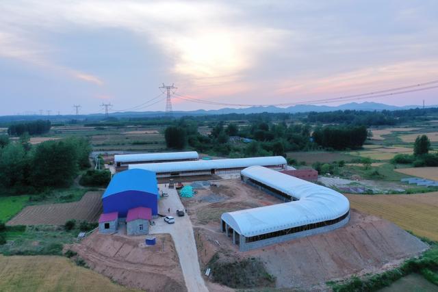 深耕沃土、厚植畜牧，发生在淮水王岗的新故事