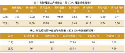 「快看养殖新法」关于三元母猪种用价值和改善措施的探讨