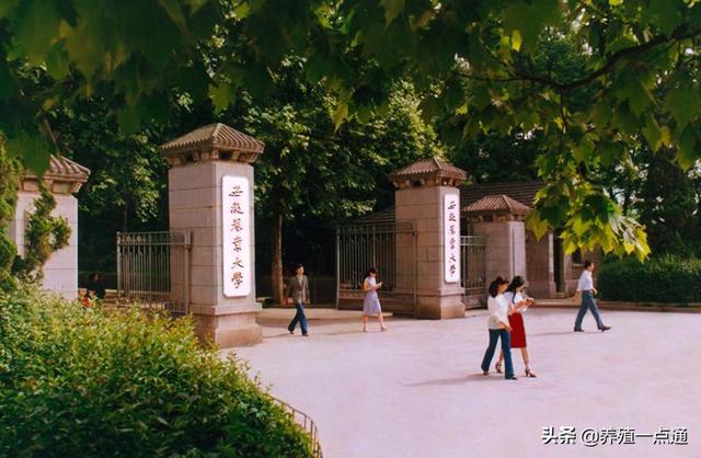 丁小玲（女），安徽农业大学副教授、硕导，饲料专家