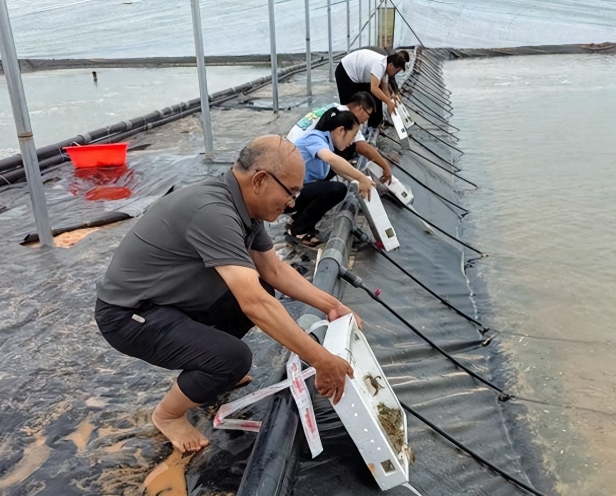 我国提前布局，内陆海鲜养殖基地与盐分的储备。日本要羡慕死了