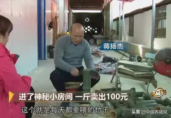 把竹鼠关进小黑屋，为啥一斤肉就能卖100块