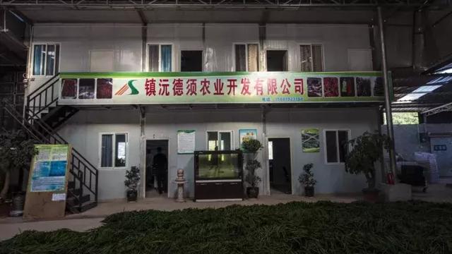 美丽乡村之古城酒香一座城——云南省普洱市镇沅县脱贫攻坚走笔