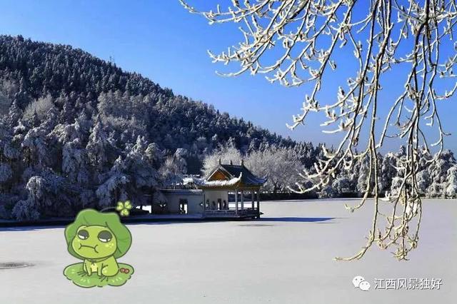 你们的“旅行青蛙”正在江西赏雪呢，快来江西把它领回家吧！