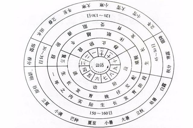 蝎子一年中要经历的四个阶段