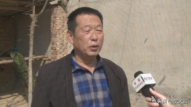 并非央媒模式“一创业就成功且赚千万”，帅哥养殖孔雀，小有成就