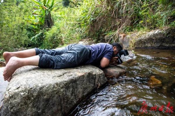 这些“神奇生物”曾一度消失，如今再现珠江流域……