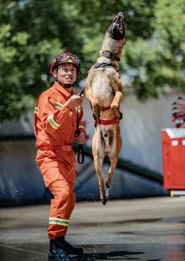 连续两届全国比武前三名！刘懂懂和他的搜救犬再次出征