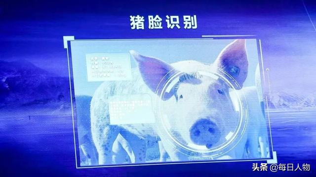 万科阿里京东扎堆养猪，养猪成了大厂们的新希望？