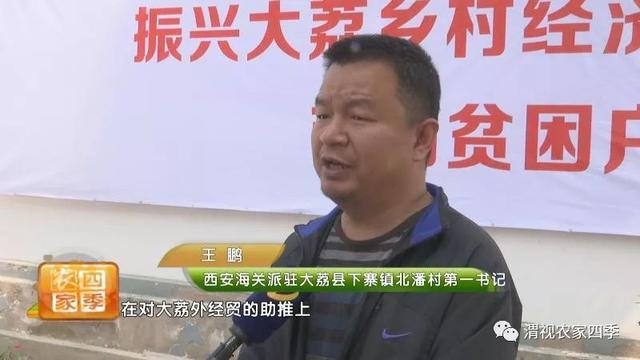 大荔秦川牛卖到香港 每斤毛牛增值近两块