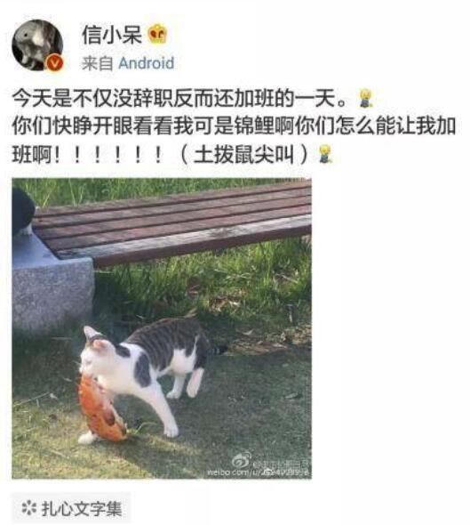 全国都在转锦鲤，这条鱼有什么故事？