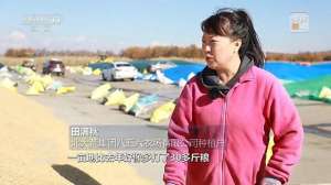 中国大型奶羊养殖基地(焦点访谈丨深耕科技沃土 培植智慧农业)