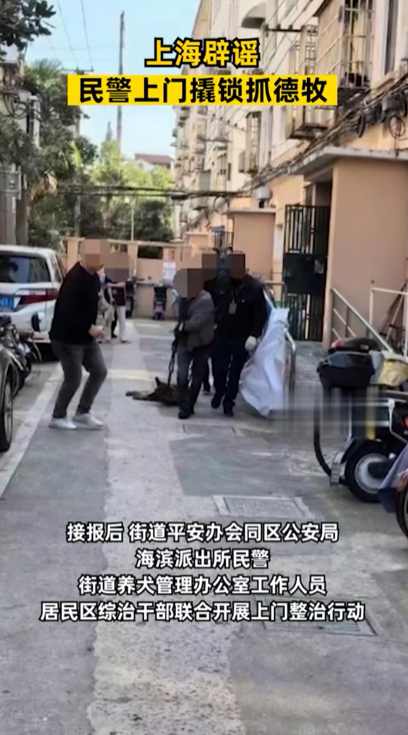 网传“上海警方上门抓走德牧”，当地通报详情