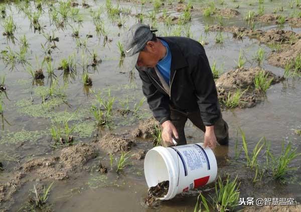 农村养殖好项目，农村养殖业致富项目有哪些？