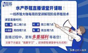 大虾养殖周期(全面、实用小龙虾养殖一年的周期表，解析苗种、水质及管理问题)