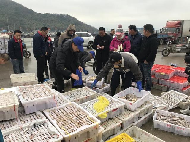 过年海鲜怎么买？跟着宁波老炮儿逛菜场，那叫一个讲究